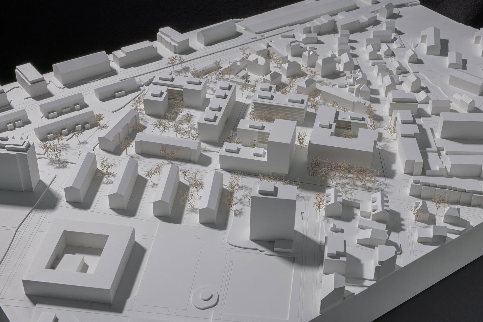 Das neue Siedlungsprojekt nimmt Bezug auf die Anfänge der Meienegg